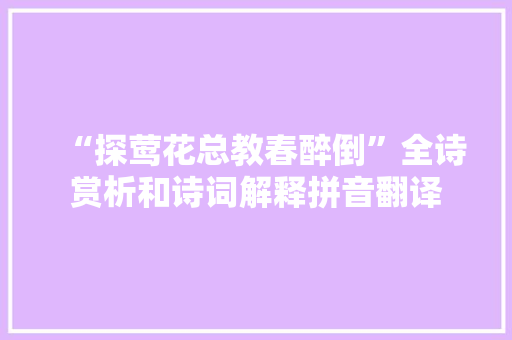 “探莺花总教春醉倒”全诗赏析和诗词解释拼音翻译