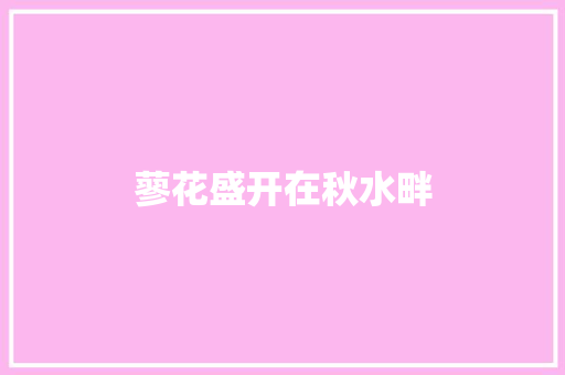 蓼花盛开在秋水畔