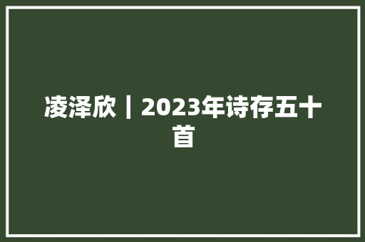 凌泽欣｜2023年诗存五十首
