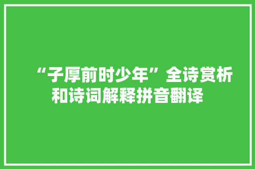 “子厚前时少年”全诗赏析和诗词解释拼音翻译