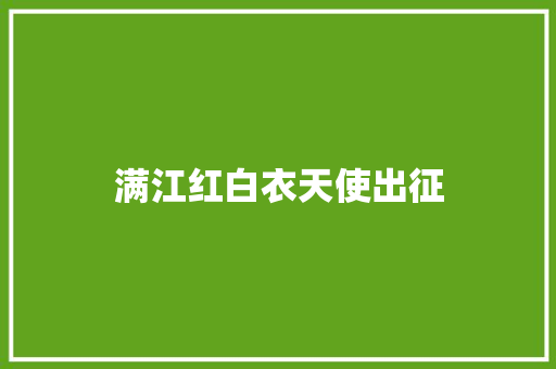 满江红白衣天使出征