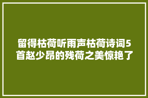 留得枯荷听雨声枯荷诗词5首赵少昂的残荷之美惊艳了时光
