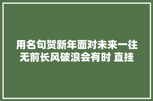 用名句贺新年面对未来一往无前长风破浪会有时 直挂云帆济沧海
