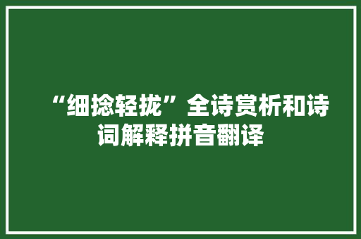 “细捻轻拢”全诗赏析和诗词解释拼音翻译