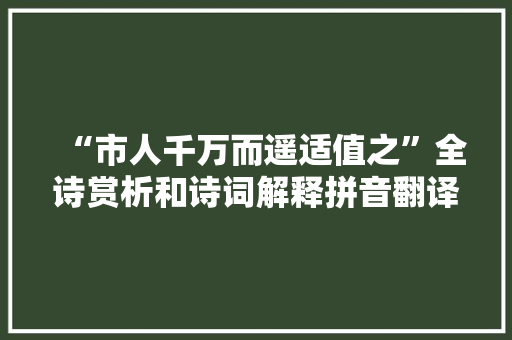“市人千万而遥适值之”全诗赏析和诗词解释拼音翻译