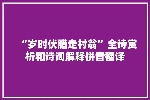 “岁时伏腊走村翁”全诗赏析和诗词解释拼音翻译