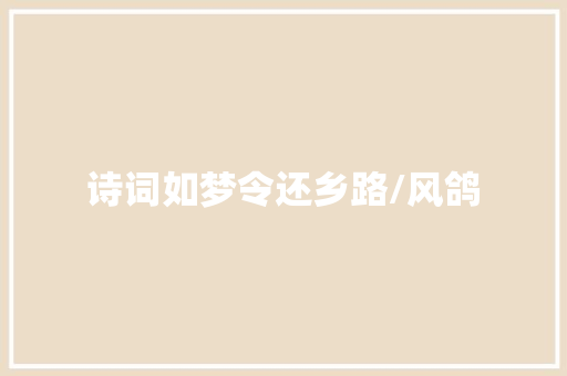 诗词如梦令还乡路/风鸽