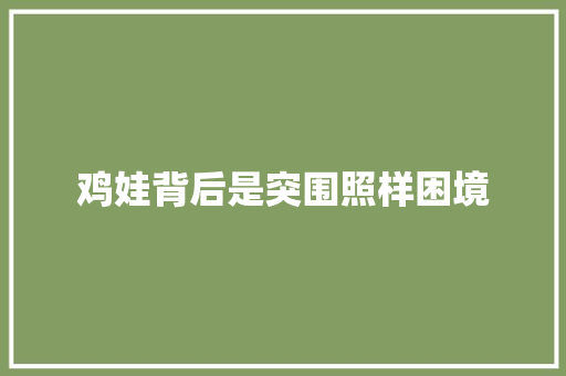 鸡娃背后是突围照样困境