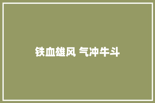 铁血雄风 气冲牛斗