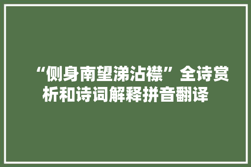 “侧身南望涕沾襟”全诗赏析和诗词解释拼音翻译