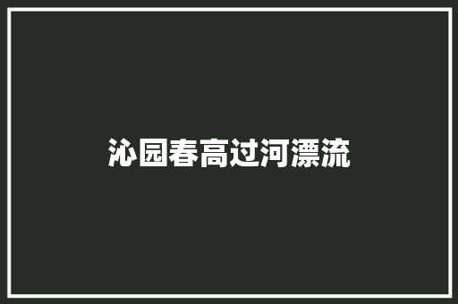 沁园春高过河漂流