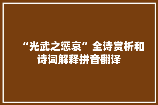“光武之惩哀”全诗赏析和诗词解释拼音翻译