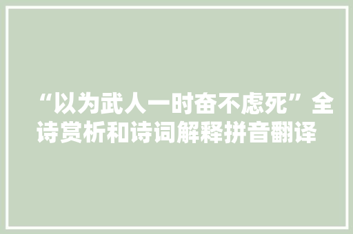 “以为武人一时奋不虑死”全诗赏析和诗词解释拼音翻译