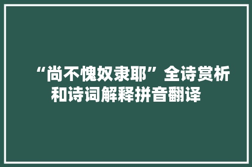 “尚不愧奴隶耶”全诗赏析和诗词解释拼音翻译