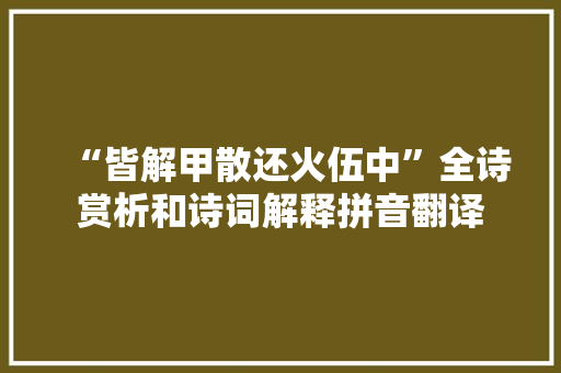 “皆解甲散还火伍中”全诗赏析和诗词解释拼音翻译