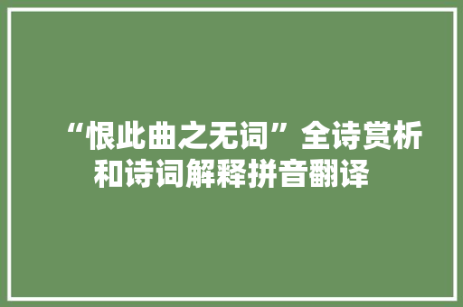 “恨此曲之无词”全诗赏析和诗词解释拼音翻译