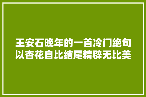 王安石晚年的一首冷门绝句以杏花自比结尾精辟无比美极了