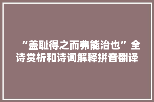 “盖耻得之而弗能治也”全诗赏析和诗词解释拼音翻译
