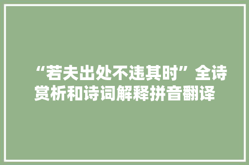 “若夫出处不违其时”全诗赏析和诗词解释拼音翻译