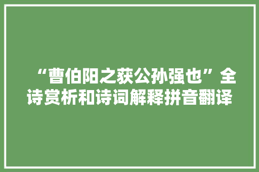 “曹伯阳之获公孙强也”全诗赏析和诗词解释拼音翻译