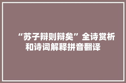 “苏子辩则辩矣”全诗赏析和诗词解释拼音翻译