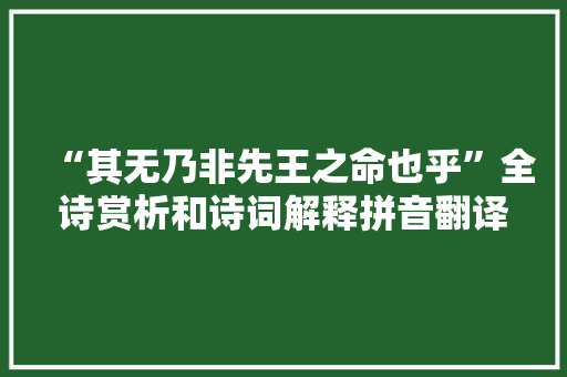 “其无乃非先王之命也乎”全诗赏析和诗词解释拼音翻译