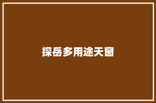 探岳多用途天窗