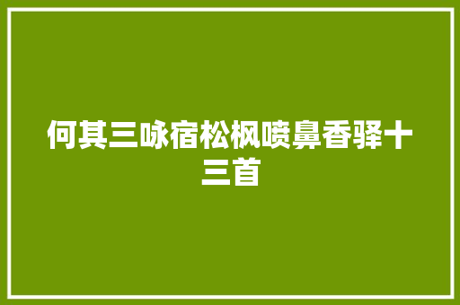 何其三咏宿松枫喷鼻香驿十三首