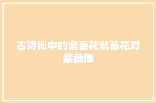 古诗词中的紫薇花紫薇花对紫薇郎