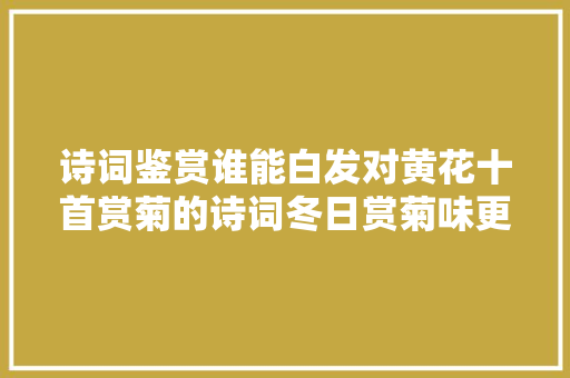 诗词鉴赏谁能白发对黄花十首赏菊的诗词冬日赏菊味更浓