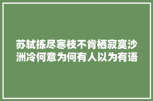 苏轼拣尽寒枝不肯栖寂寞沙洲冷何意为何有人以为有语病