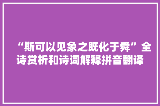 “斯可以见象之既化于舜”全诗赏析和诗词解释拼音翻译