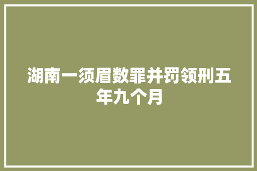 湖南一须眉数罪并罚领刑五年九个月