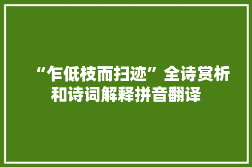 “乍低枝而扫迹”全诗赏析和诗词解释拼音翻译