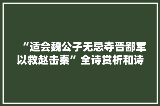 “适会魏公子无忌夺晋鄙军以救赵击秦”全诗赏析和诗词解释拼音翻译