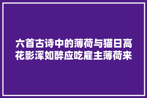 六首古诗中的薄荷与猫日高花影浑如醉应吃雇主薄荷来