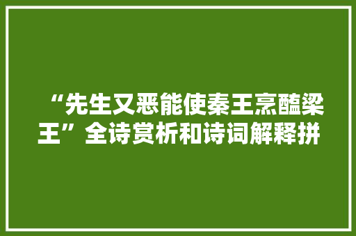 “先生又恶能使秦王烹醢梁王”全诗赏析和诗词解释拼音翻译