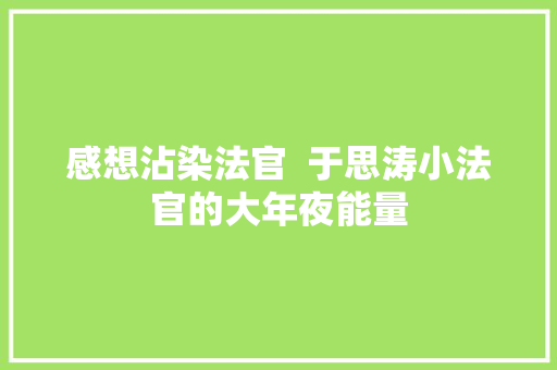 感想沾染法官  于思涛小法官的大年夜能量