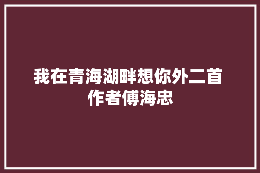 我在青海湖畔想你外二首 作者傅海忠