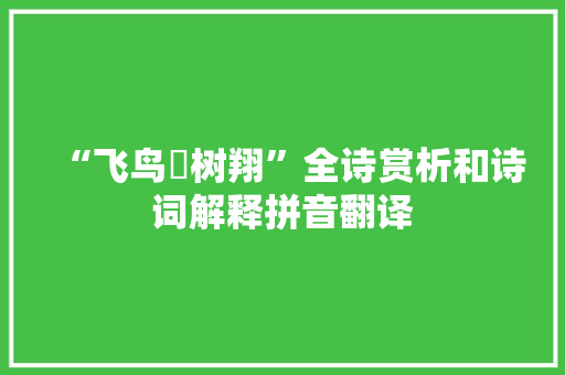 “飞鸟遶树翔”全诗赏析和诗词解释拼音翻译
