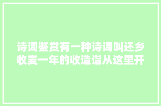 诗词鉴赏有一种诗词叫还乡收麦一年的收造诣从这里开始