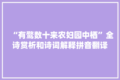 “有鹜数十来农妇园中栖”全诗赏析和诗词解释拼音翻译