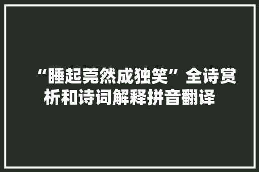 “睡起莞然成独笑”全诗赏析和诗词解释拼音翻译