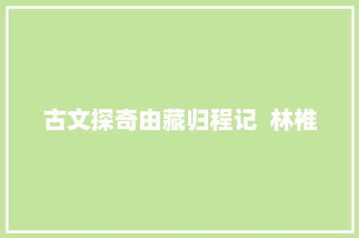 古文探奇由藏归程记  林椎