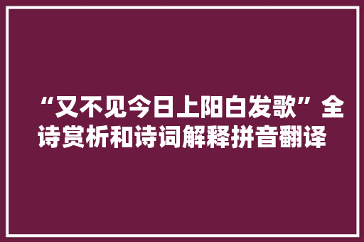 “又不见今日上阳白发歌”全诗赏析和诗词解释拼音翻译