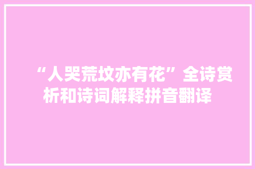 “人哭荒坟亦有花”全诗赏析和诗词解释拼音翻译
