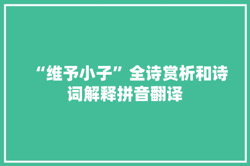 “维予小子”全诗赏析和诗词解释拼音翻译