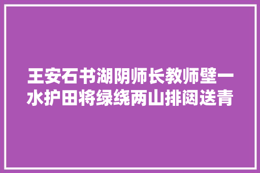 王安石书湖阴师长教师壁一水护田将绿绕两山排闼送青来