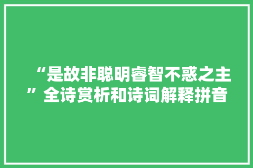 “是故非聪明睿智不惑之主”全诗赏析和诗词解释拼音翻译