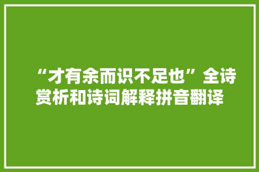 “才有余而识不足也”全诗赏析和诗词解释拼音翻译
